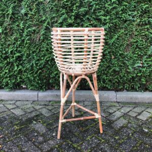 Rotan Plantenstandaard hoog
