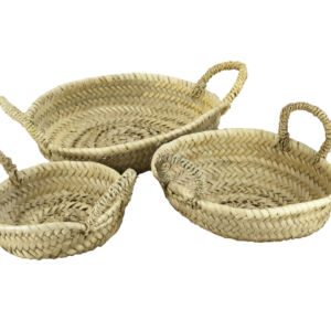 Schaaltje rond Palmblad